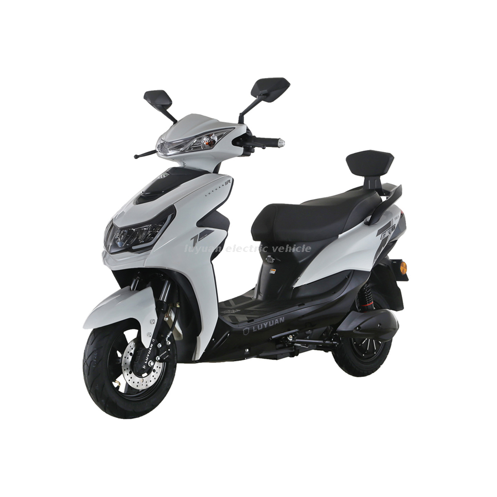 New Promoted 40Km/H Moped Electric Motorcycle