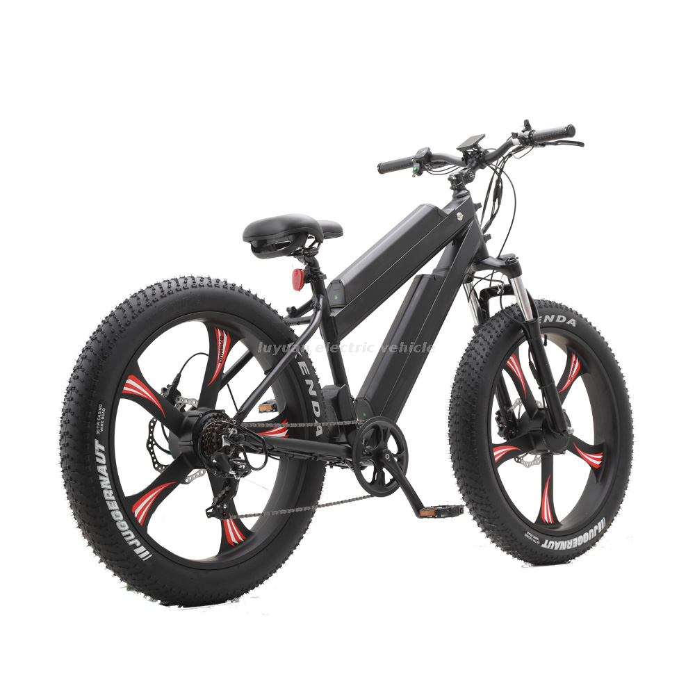 Electric Bicycle EM 02WD